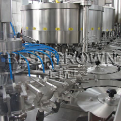 Flesh Fruit Grain Beverage Filling Line