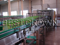 Automatic Wrapping Film Packer